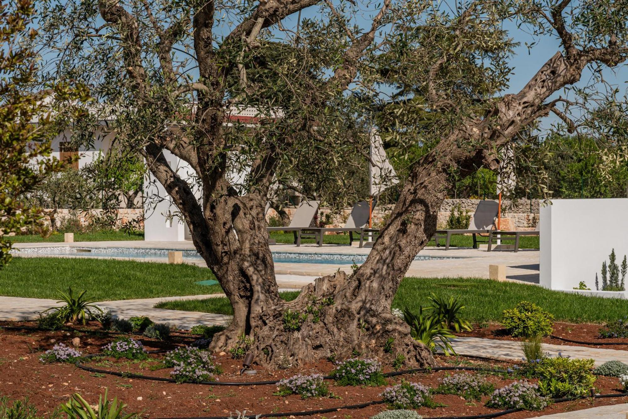 Trullo Jale - Boutique Apartments Ostuni Extérieur photo
